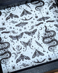 Occult | Dice Tray Insert