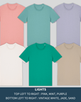 Class Sigil T-Shirt | Barbarian - Mint & Mustard