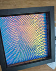 Holographic Scales Light | Dice Tray Insert