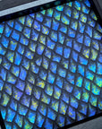 Blue Dragon Scale | Dice Tray Insert