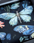 Gothic Moths | Dice Tray Insert