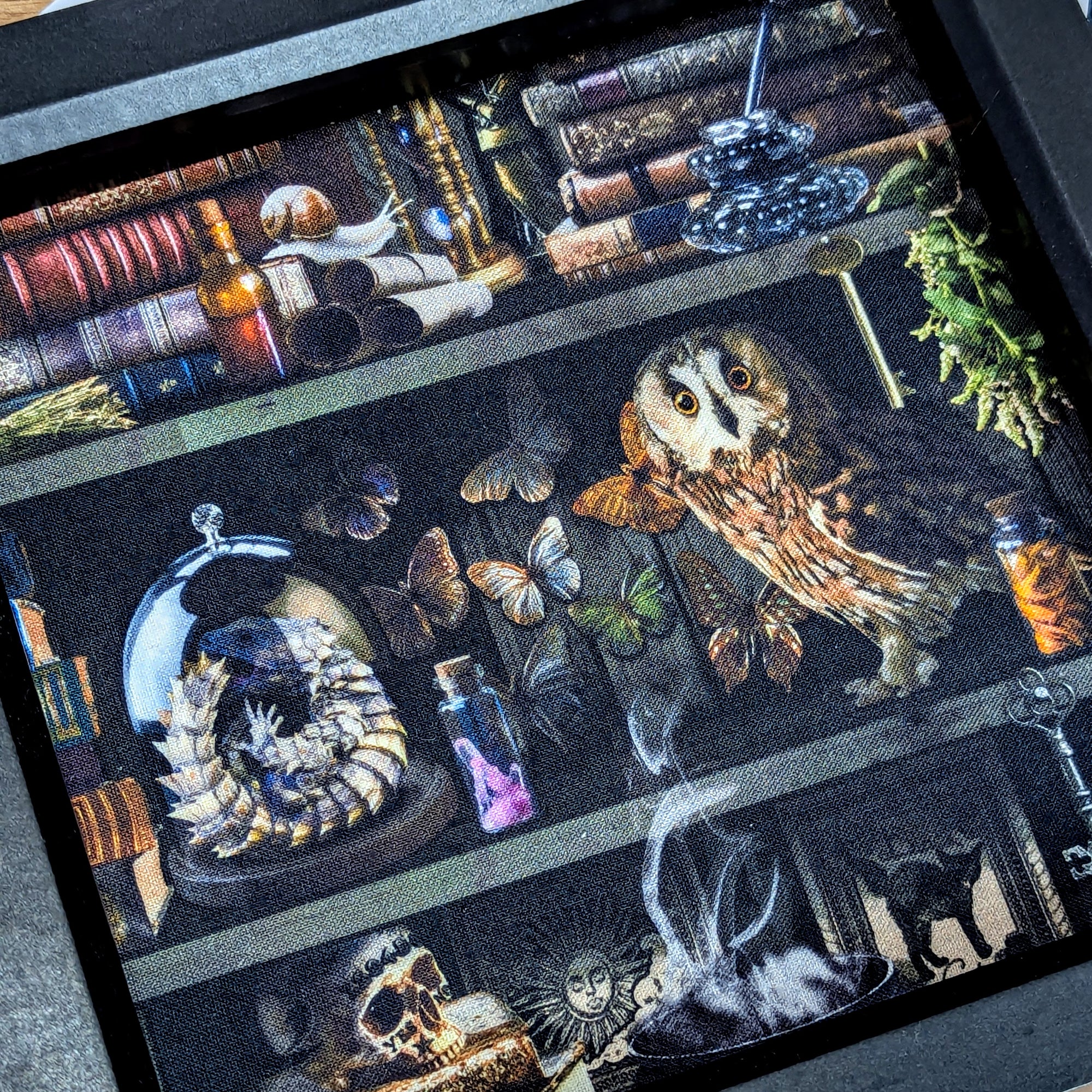 Curios | Dice Tray Insert